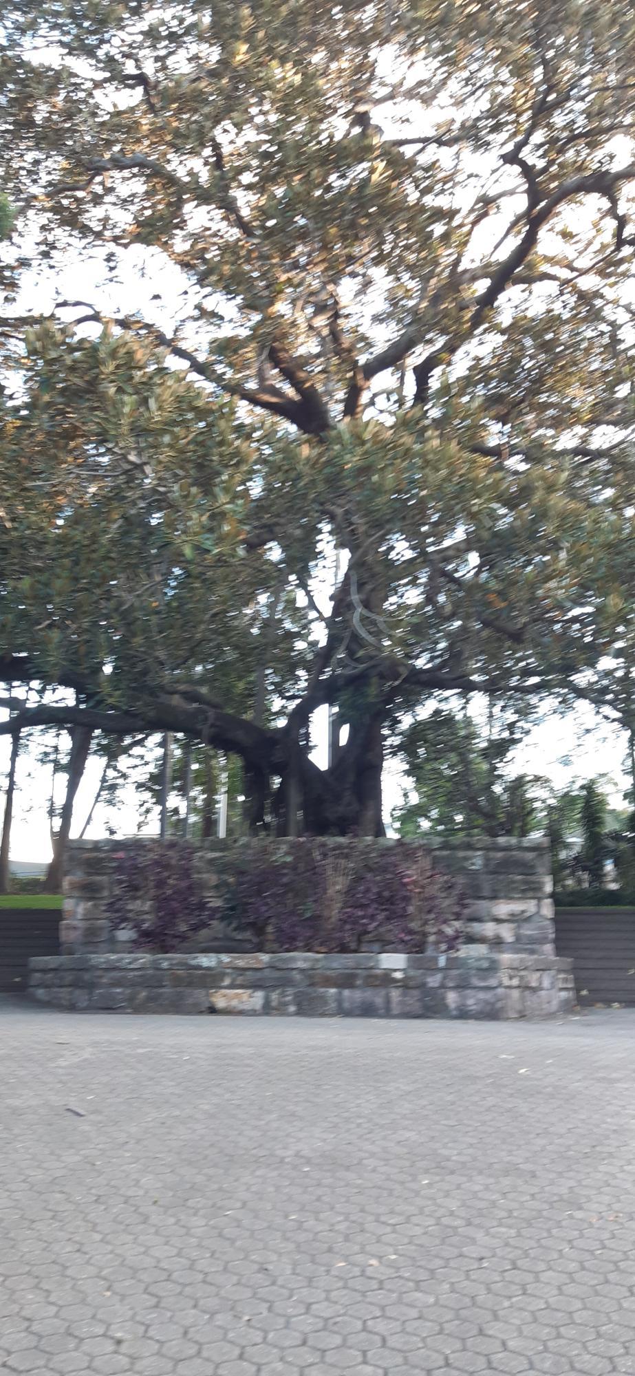 20220726_160600.jpg