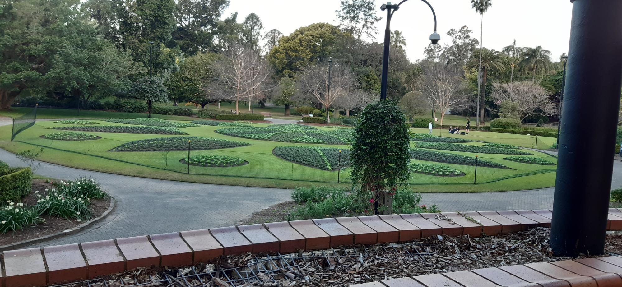 20220726_161541.jpg