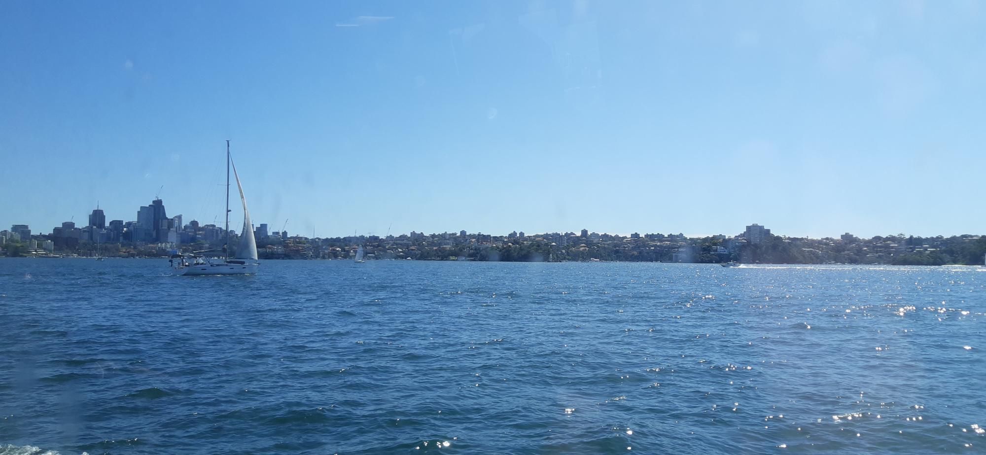 20220911_114635.jpg