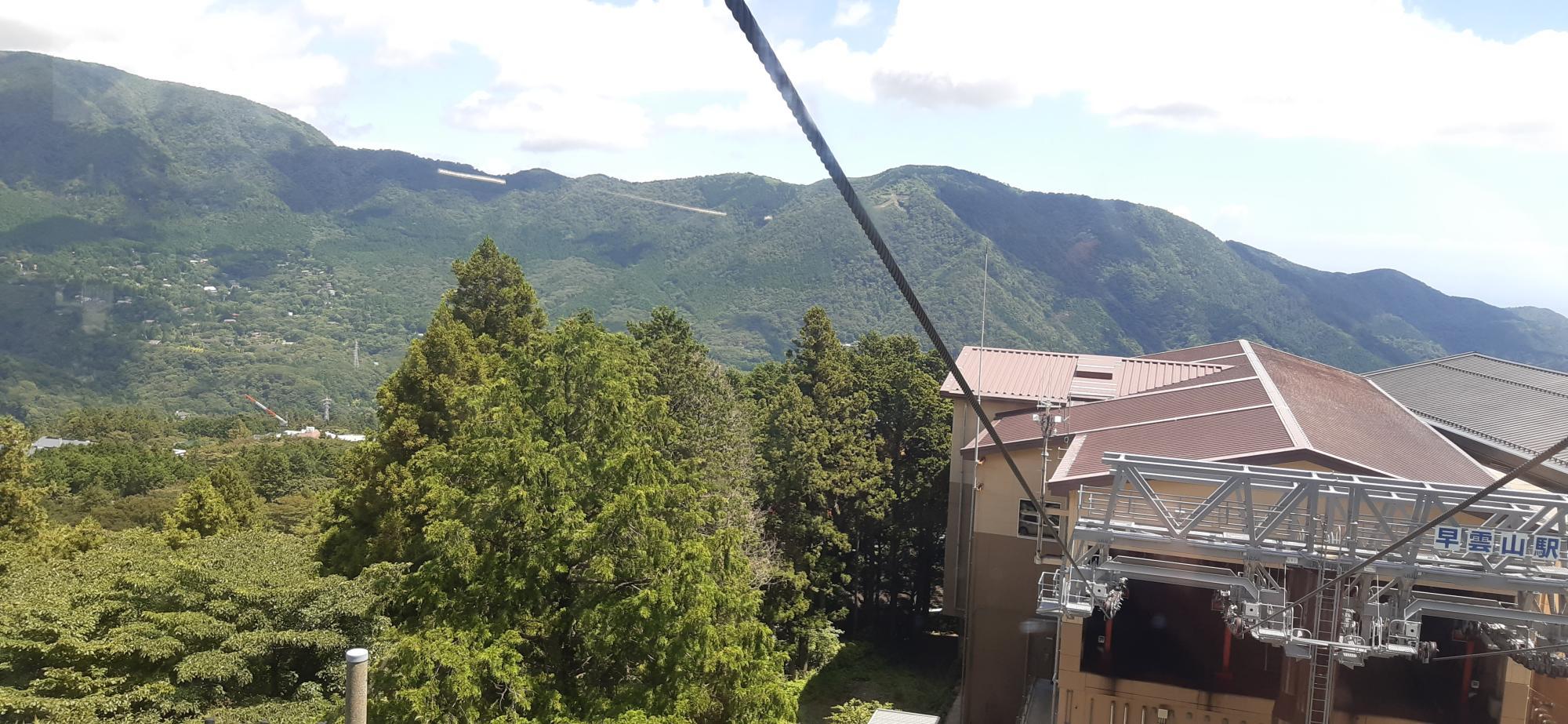 20230812_111223.jpg