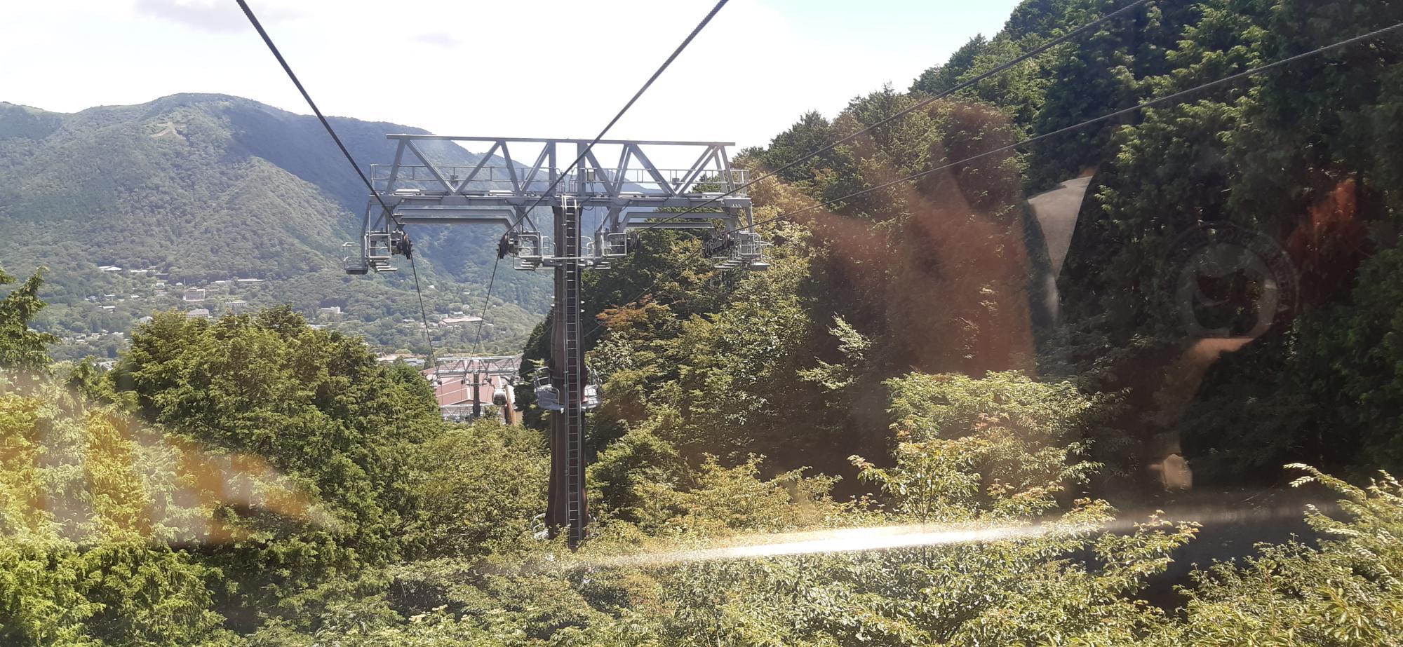 20230812_111315.jpg